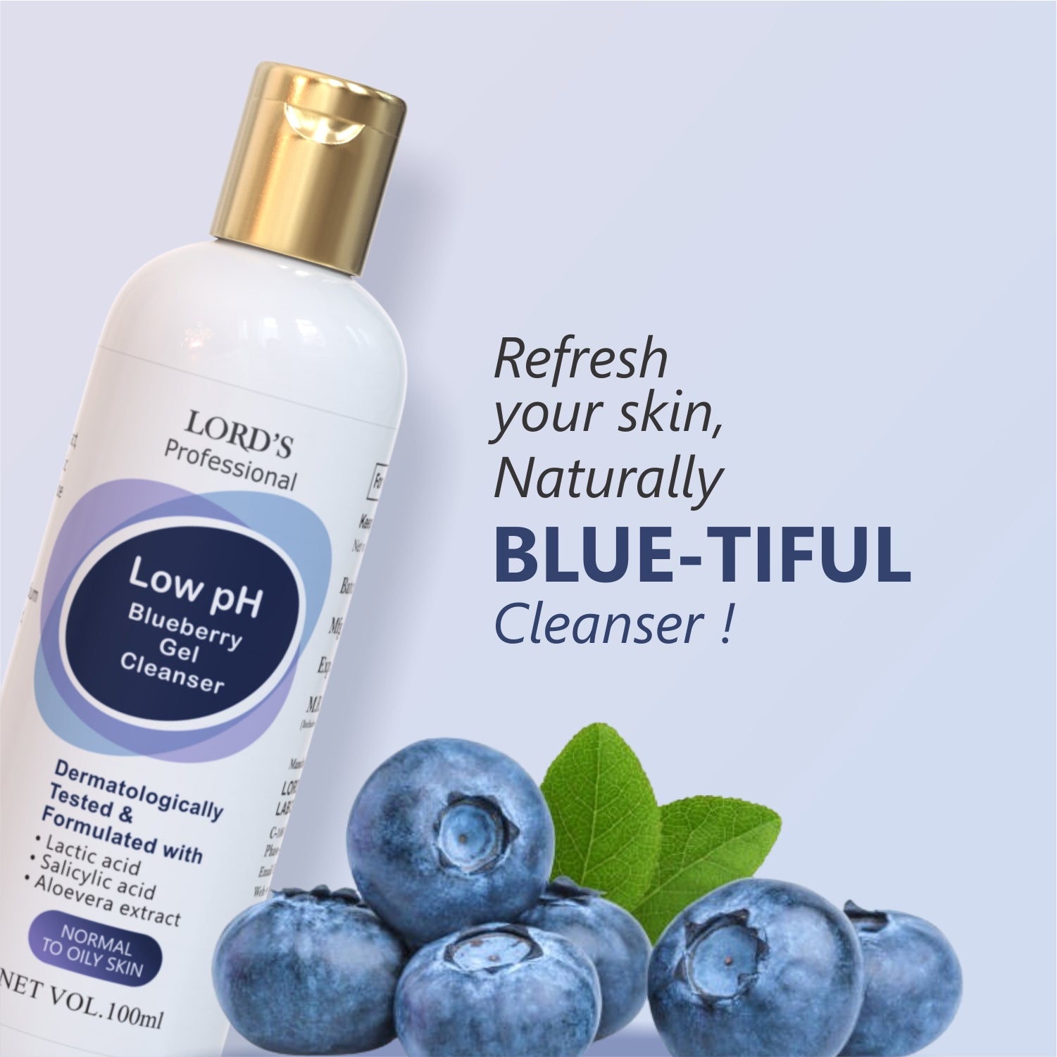 Professional Low PH Blueberry Gel Cleanser (100ml)