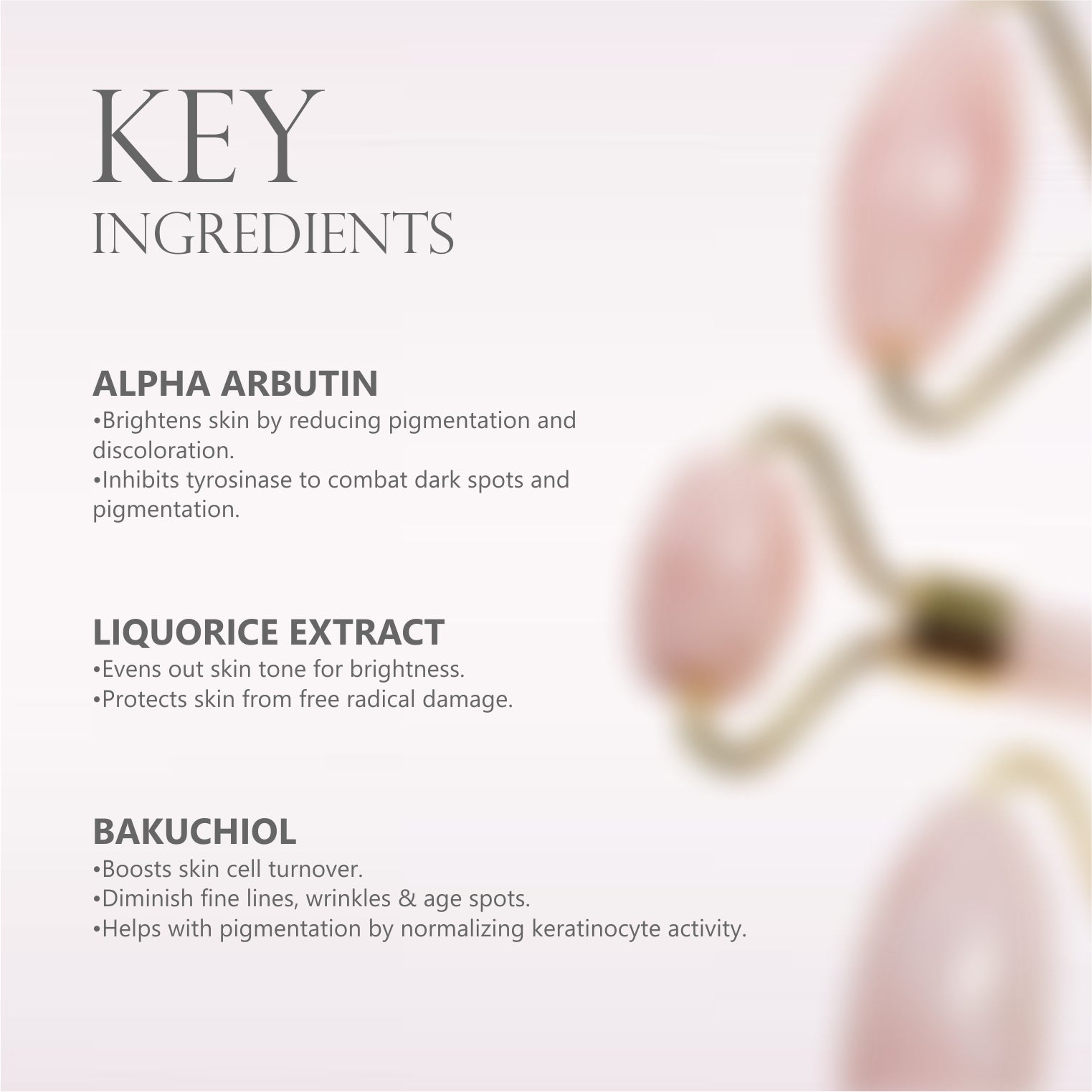 Rice Water Brightening Kit